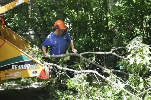 tree services Roseland